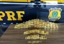 MPF reitera pedido de condenação de empresário envolvido na maior apreensão de ouro ilegal registrada no país — Procuradoria da República em Roraima