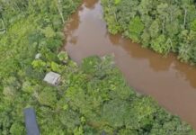 MPF requer indenização de R$ 51,6 mi e descontaminação de rios após rompimento de barragem de garimpo ilegal no Amapá — Procuradoria da República no Amapá