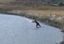 MPF visita município de Canhoba (SE) para inspecionar local onde será a reserva da etnia Kaxagó — Procuradoria da República em Sergipe