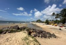 acordo permitirá mapeamento da APA Litoral Sul e cria comitê para fortalecer a gestão ambiental — Procuradoria da República em Sergipe