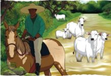 retireiros, pantaneiros e ilhéus convivem em harmonia com o delicado equilíbrio entre terra e água — Procuradoria-Geral da República