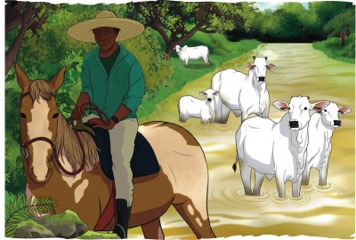 Ilustração mostra homens montados em cavalos guiando uma boiada 