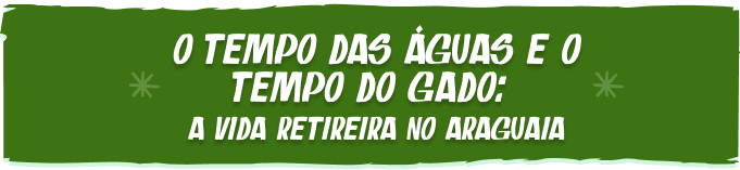 O tempo das águas e o tempo do gado: a vida retireira no Araguaia