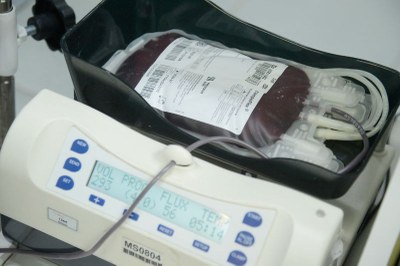 foto mostra uma bolsa de sangue