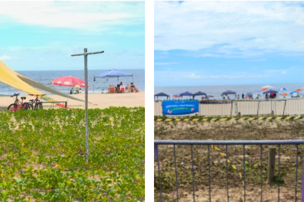 restinga preservada à direita e pisoteada à esquerda. 