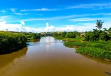 A pedido do MPF, empresa é condenada por plantio irregular de eucalipto em área de proteção no interior de SP — Procuradoria da República em São Paulo