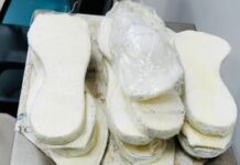 Justiça acolhe pedido do MPF e condena franco-guianense por tráfico de drogas no Aeroporto de Belém (PA) — Procuradoria da República no Pará