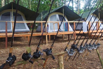 Foto: ACP MPF (extraída do site Acute Angling, em 2022) Acampamento de pesca em área de floresta com diversas varas equipadas com molinetes e carretilhas em primeiro plano. Ao fundo, barracas de lona montadas sobre passarelas de madeira elevadas entre as árvores.
