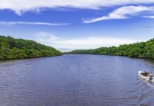 Justiça atende MPF e suspende licença de usina de hidrogênio verde no Piauí — Procuradoria da República no Piauí