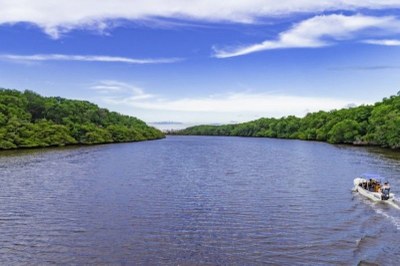 foto mostra leito do Rio Parnaíba com uma embarcação passando e uma floresta em cada margem 