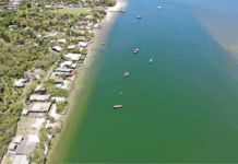 MPF obtém decisões que proíbem uso de casas de veraneio em áreas de preservação permanente no Paraná — Procuradoria da República no Paraná