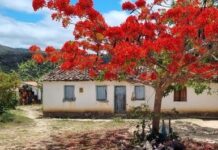 MPF obtém sentença que determina a conclusão da titulação do território quilombola Kalunga (GO) — Procuradoria da República em Goiás