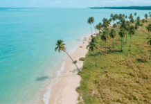 MPF promove diálogo para garantir acesso de pescadores às áreas de uso tradicional em Porto de Pedras (AL) — Procuradoria da República em Alagoas