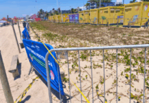 MPF recomenda proteção da restinga contra pisoteios em eventos musicais na orla de Matinhos (PR) — Procuradoria da República no Paraná