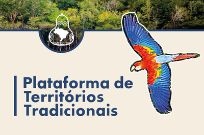 Arte: Comunicação/MPF arte da plataforma de territórios tradicionais com arara desenhada à frente