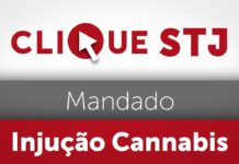 É incabível mandado de injunção para pedir autorização de plantio doméstico de cannabis