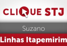 Primeira Turma revoga liminar que mantinha a Suzano na operação das linhas da Itapemirim
